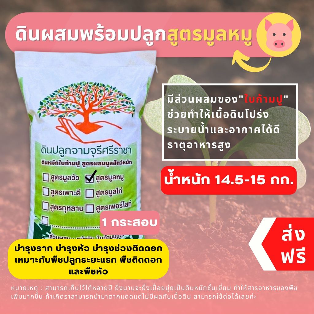 (ส่งฟรี)ดินผสมใบก้ามปูสูตรขี้หมูบด 1 กระสอบ (14.5-15 kg.) ใช้เวลาจัดส่ง 5-7 วัน