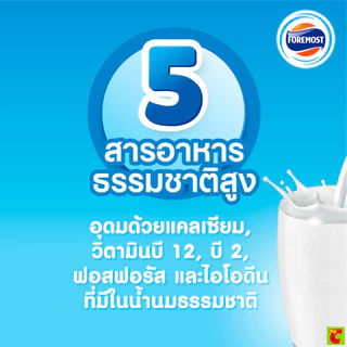 โฟร์โมสต์ นมยูเอชที รสจืด 225 มล. แพ็ค 36