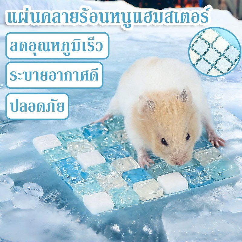 COD แผ่นหินเย็นของหนูแฮมสเตอร์ แผ่นคลายร้อนหนูแฮมสเตอร์ แผ่นเย็นสัตว์เลี้ยง ลดอุณหภูมิเร็ว ปลอดภัย ระบายอากาศดี