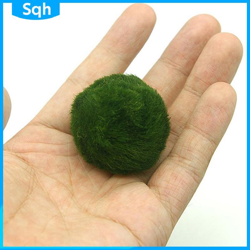 Bri 3-4 ซม. Marimo Moss Balls Live Aquarium พืชสาหร่ายปลากุ้งถังเครื่องประดับ ywr