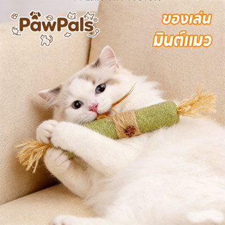 PawPals พร้อมส่ง(38cm)  อันใหญ่มาก ไม้มาทาทาบิ ขัดฟันไม้ ไม้…