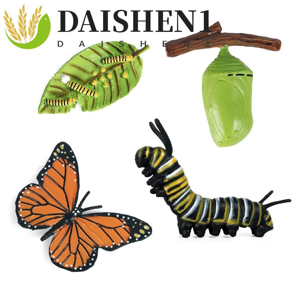 DAISHEN1 Growth CYCLE รุ่นของเล่นเด็กการศึกษาผีเสื้อ Growth CYCLE พลาสติกรุ่นไก่ Spider Life CYCLE ต