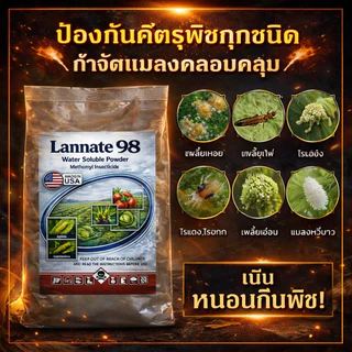 (ของแท้) ผงสีฟ้า แลนเนท แท้ 98% ถุงใหญ่ เมโทมิล ฆ่าแมลง กำจัดหนอน บรรจุ 500 กรัม เพลี้ย สูตรแรง แรนเนด