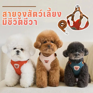 เสื้อรัดอกแมว สายจูงสัตว์เลี้ยง สายจูงสุนัข สายจูงหมา ที่รัดอกพร้อมสายจูง สามารถปรับระดับได้