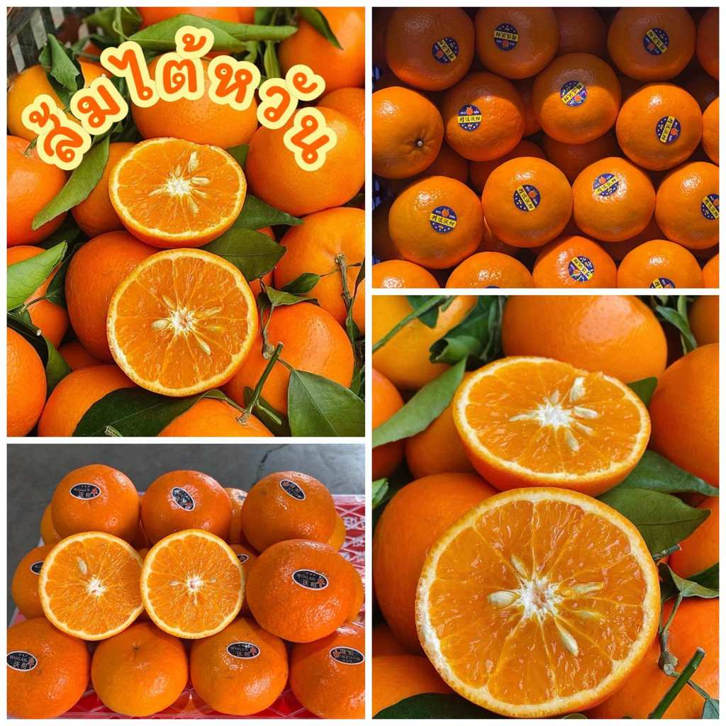 111 ส้มไต้หวันสด (1KG) ส่งล็อตใหม่ทุกวัน‼️ Good