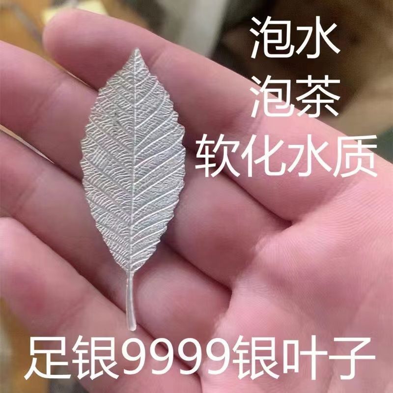 ชาใบเงินทําเงินสเตอร์ลิง ส999 ชาทํา มีประโยชน์ เครื่องมือเงินใบชาทําน้ําเดือดทุ่มเทนุ่มน้ําคุณภาพทํา