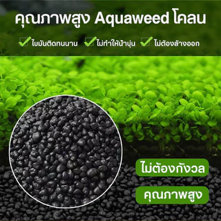 ดินปลูกไม้น้ำตู้ปลา 2.5KG ดินต้นไม้น้ำ ดินไม่แตก น้ำไม่ขุ่น ปลอดภัยต่อสัตว์น้ำ!