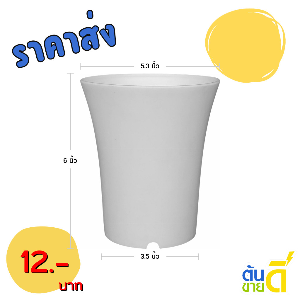 กระถาง กระถางแคคตัส กระถางปากแตร 4.5 นิ้ว สีขาว ขั้นต่ำ 10 ใบ ชิ้น อัน ราคา ถูกที่สุด ดีลบีเคเค แกลเลอรีภาพที่ 2