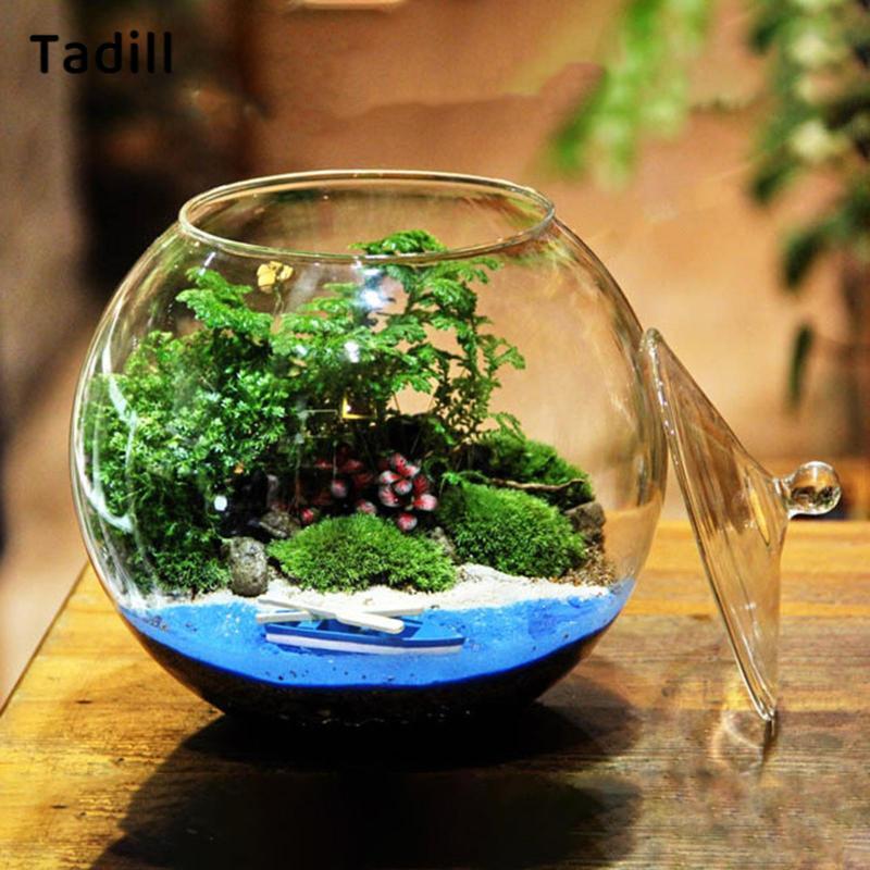 [negjsg] Planter Jar ตกแต่ง 6.30 แก้วภาชนะใส่พืชสําหรับเกลือ