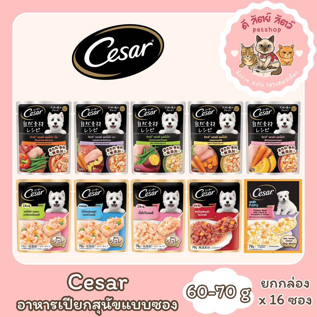 Cesar ซีซาร์ อาหารเปียกสุนัข แบบซอง ขนาดซองล่ะ 70 กรัม [ยกกล่อง 16 ซอง]