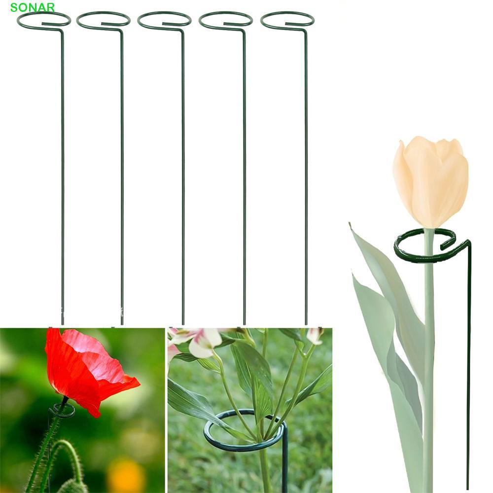 SONAR Plant Support Stake Home Metal Single Stem Backyard Bonsai Support Ring
