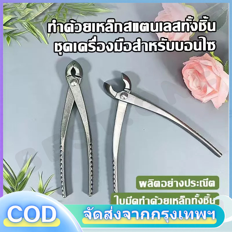 ยาว21เซ็นติเมตร คีมปากนกแก้ว คีมท้องเรือ กรรไกรตัดแต่งกิ่งบอนไซ คีมตัดแต่งบอนไซ อุปกรณ์ตัดแต่งบอนไซ ราคา ถูกที่สุด ดีลบีเคเค