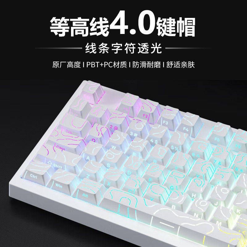 อีทีซี. High Line 4.0 ด้านข้างแกะสลัก Keycap PBT โปร่งแสงคีย์บอร์ดหมวก 87/98 คีย์ Little Bee made68p