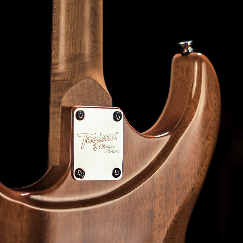 Tw55tg510 Ma tg530stella La dw เริ่มต้น Tesguitar tagima กีตาร์ไฟฟ้า Tower t635 GP7E