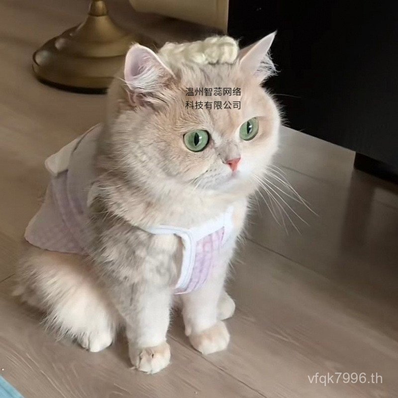 Maobo Super Style Better Summer Bear Clothes Blue Gold Thin Breathable Dog Pet Muppet Cute Small BOL