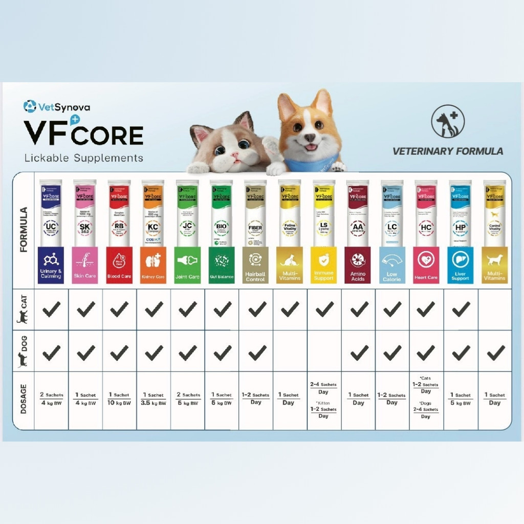 รูปภาพ 2