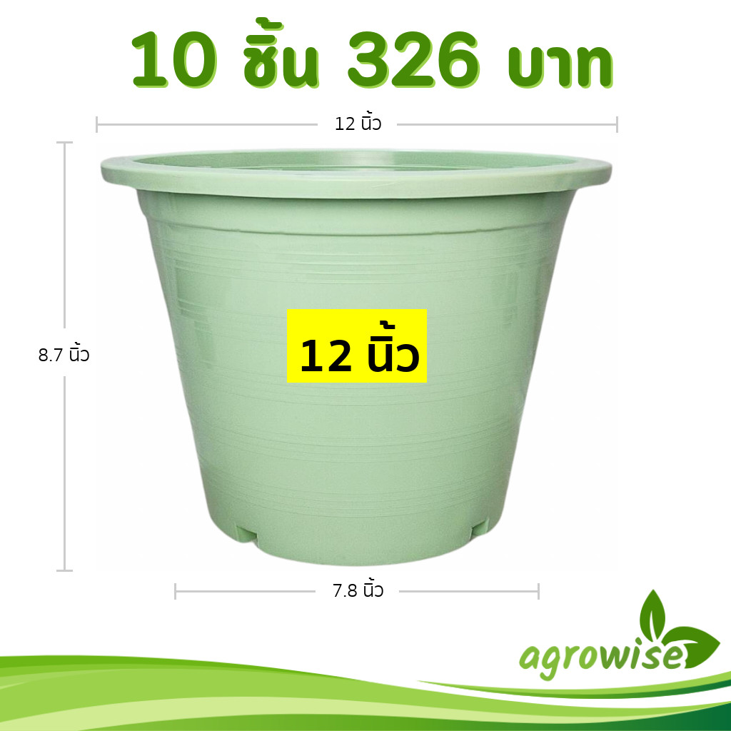 กระถาง กระถางต้นไม้ กระถางขาว เบอร์ 12 นิ้ว สีขาว 10 ใบ ชิ้น ยกมัด - รูปที่ 5