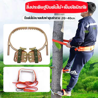 อุปกรณ์ปีนต้นไม้และเสาไฟฟ้า ชุดครบวงจร พร้อมเข็มขัดนิรภัย+รองเท้า ปรับระดับได้ 200-400mm