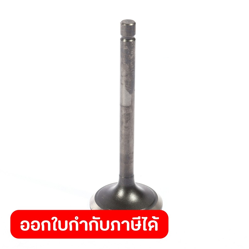 POLO อะไหล่ Valve Ex ใช้กับเครื่องปั่นไฟ รุ่น GT9000I (โปโล)