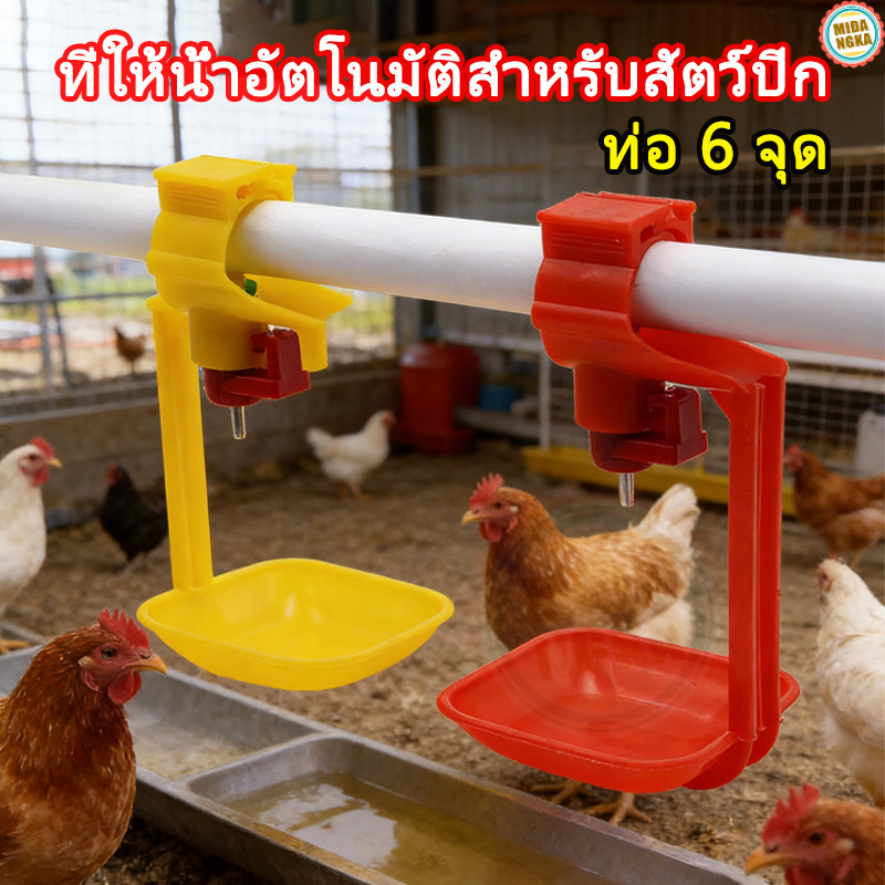 ถ้วยน้ำไก่ ถาดรองน้ำหยด ถาดรองน้ำไก่ ขนาด 6 นิ้ว เครื่องให้น้ำไก่ นกกระทา อัตโนมัติ จัดส่งจากไทยภายใน 24 ชม.