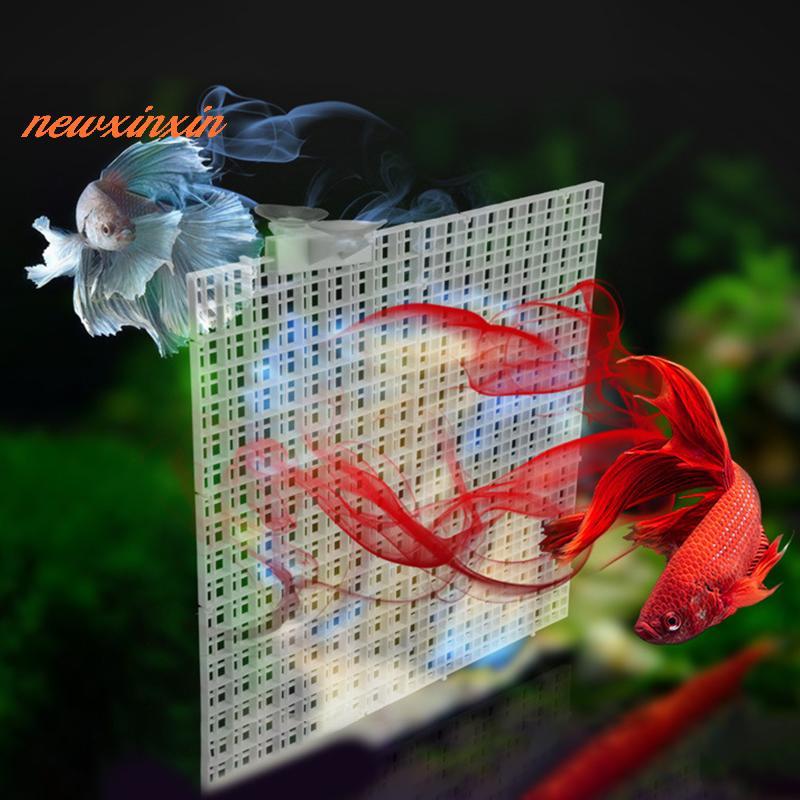 [NT-t] ที่ถอดออกได้ Spliceable Fish Tank แผ่นแยกด้านบนฝาครอบด้านล่างสุทธิกรองตาราง Braet ด้านล่างแผ่น Divider แผ่น [ใหม่]