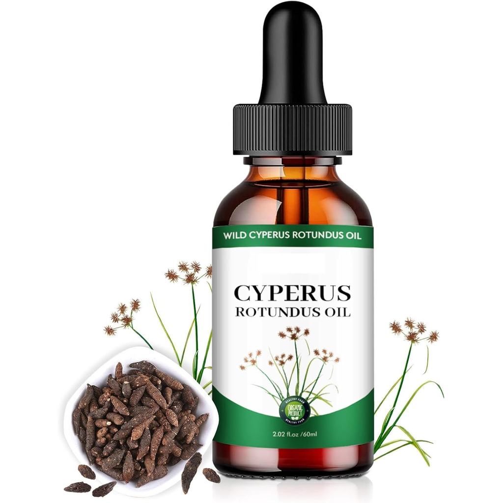 Cyperus Rotundus Oil - Cyprus Oil Natural Nut Grassoil สําหรับลดร่างกาย, น้ํามัน Cyperus Rotundus ออ