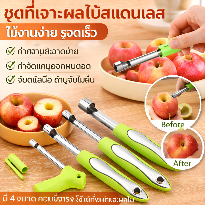 🌟ข้อเสนอสุดพิเศษ🌟ชุดที่คว้านเมล็ดผลไม้สแตนเลส ด้ามจับ PP/ ที่คว้านเมล็ดฮอว์ธอร์น/ คว้านเมล็ดผลไม้ได้อย่างรวดเร็วและง่ายดาย/ เครื่องมือในครัว