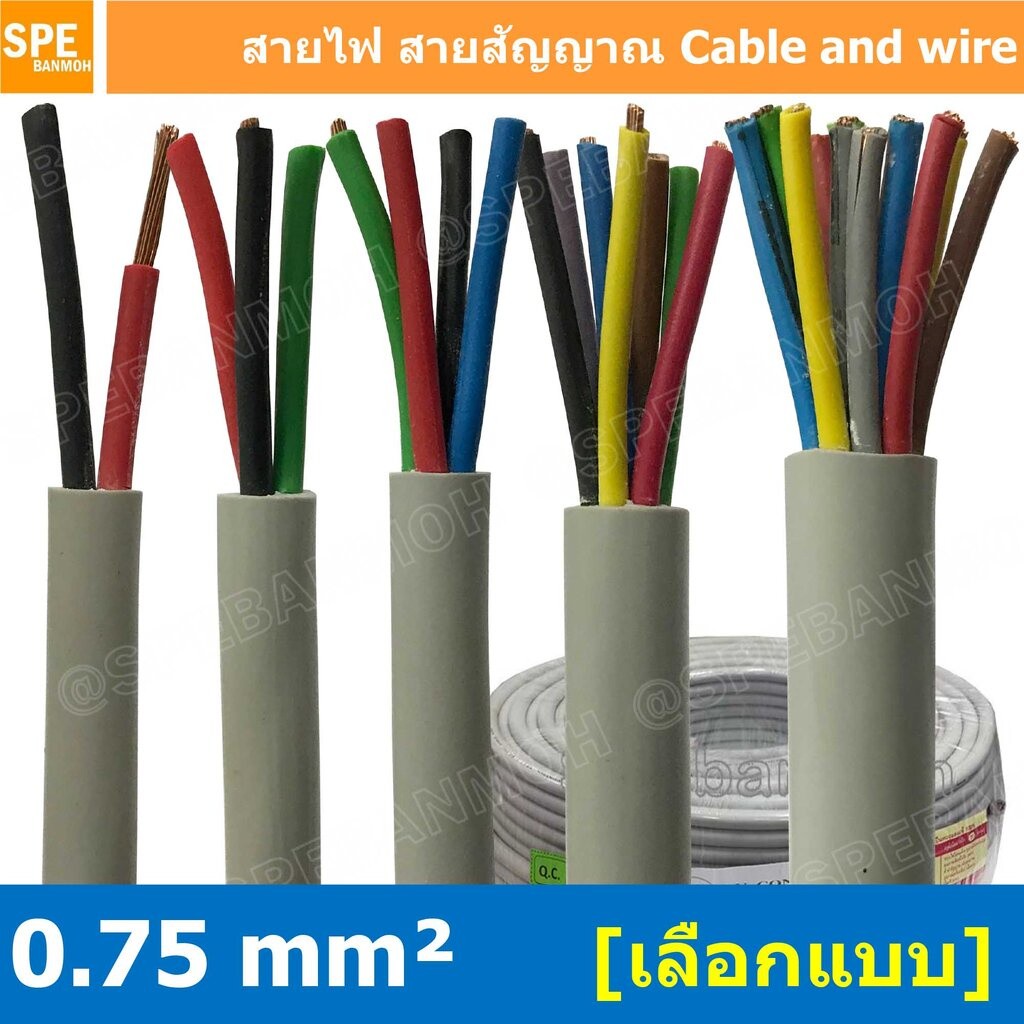 [ 2 เมตร ] SJK 0.75 Sq.mm. 2C 3C 4C 5C 6C 7C 8C 10C 12C ขนาดสาย 0.75 Sq.mm. AV Control Cable SJK Mul