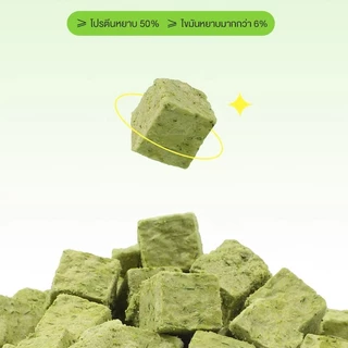 😺หญ้าแมวฟรีซดราย 100g ช่วยขับก้อนขน บำรุงระบบย่อย อาหารเสริมแมวธรรมชาติ