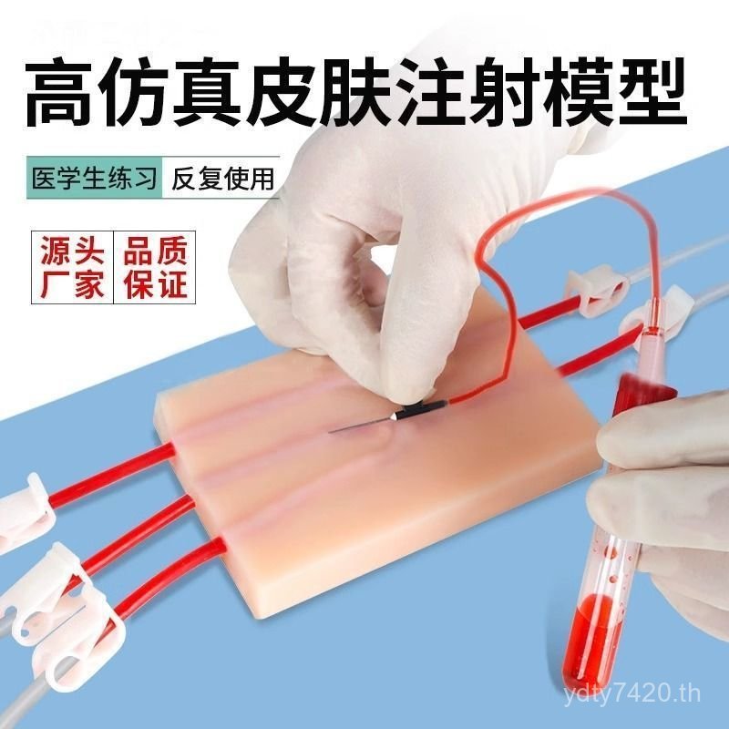 Medical Student Tube Infusion Practice Skin Bag พยาบาลเลือดเจาะเลือดเลือดคอลเลกชันเลือดรุ่น y Vein ฉ