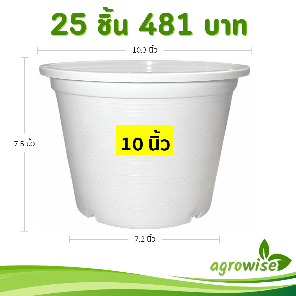 กระถางต้นไม้พลาสติก กระถางต้นไม้ กระถาง สีดำ สีขาว 10 นิ้ว 10ใบ ราคาส่ง