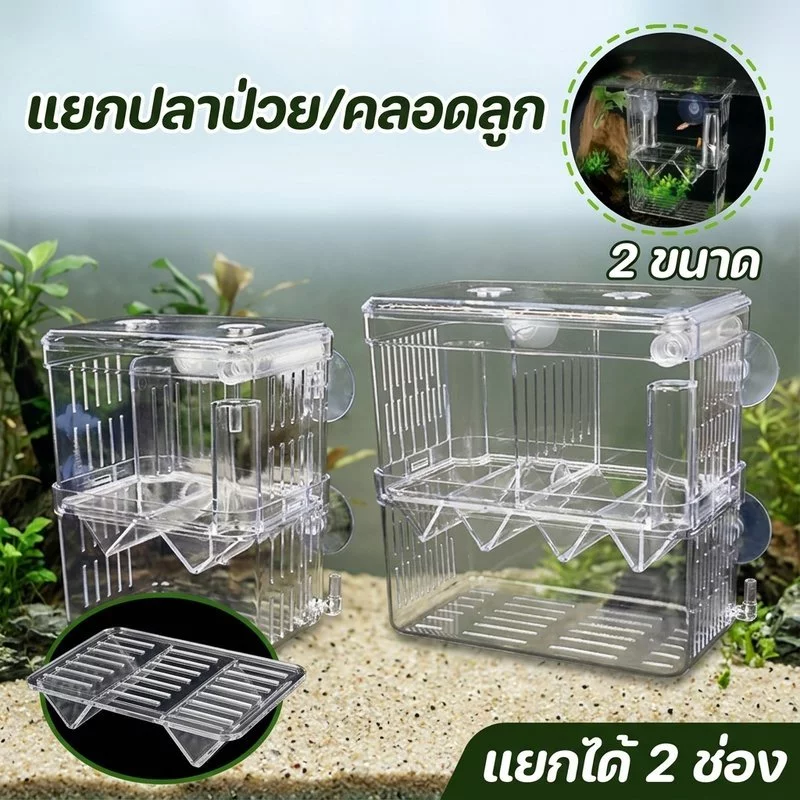 กล่องแยกปลา ตู้แยกปลาคลอดลูก อะครีลิกใส 2 ช่อง