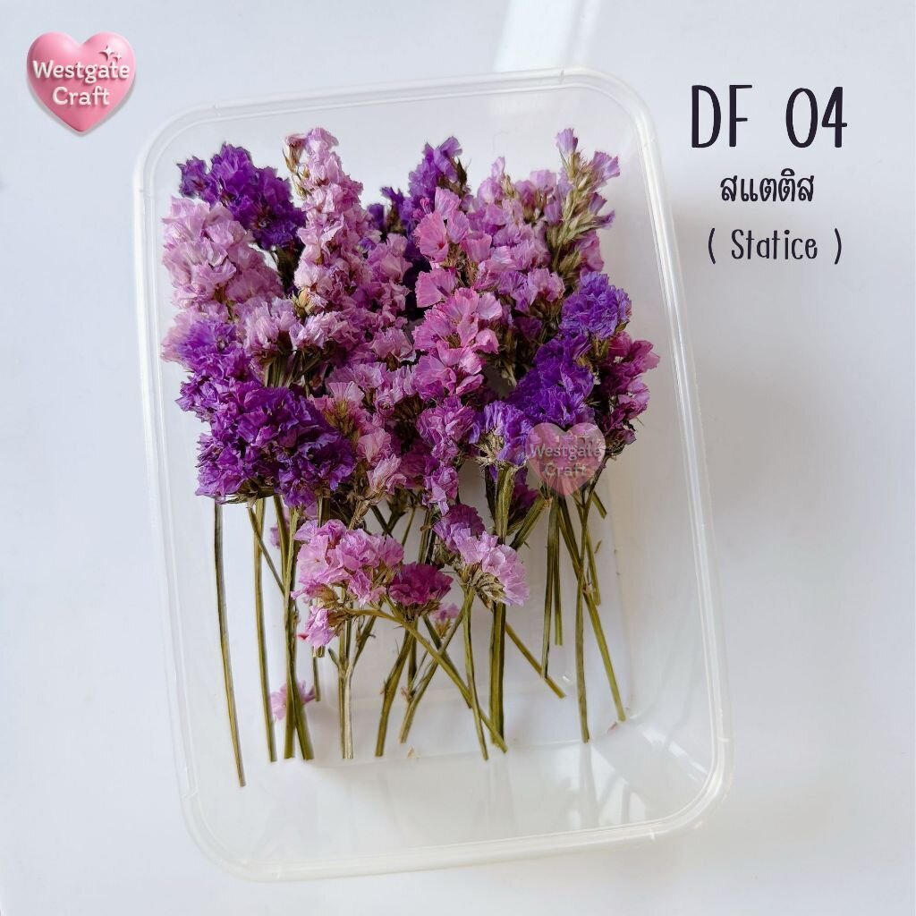 ดอกสแตติสแห้ง แบบกล่อง DF 04 คละสี