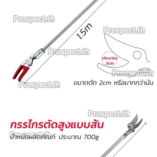 กรรไกรตัดกิ่งไม้ กรรไกรตัดกิ่งไม้สูง กรรไกรด้ามยาว ด้ามสแตนเลส กรรไกรตัดแต่งกิ่งไม้สูง ตัดกิ่งไม้หนา 1.5-4 ซม