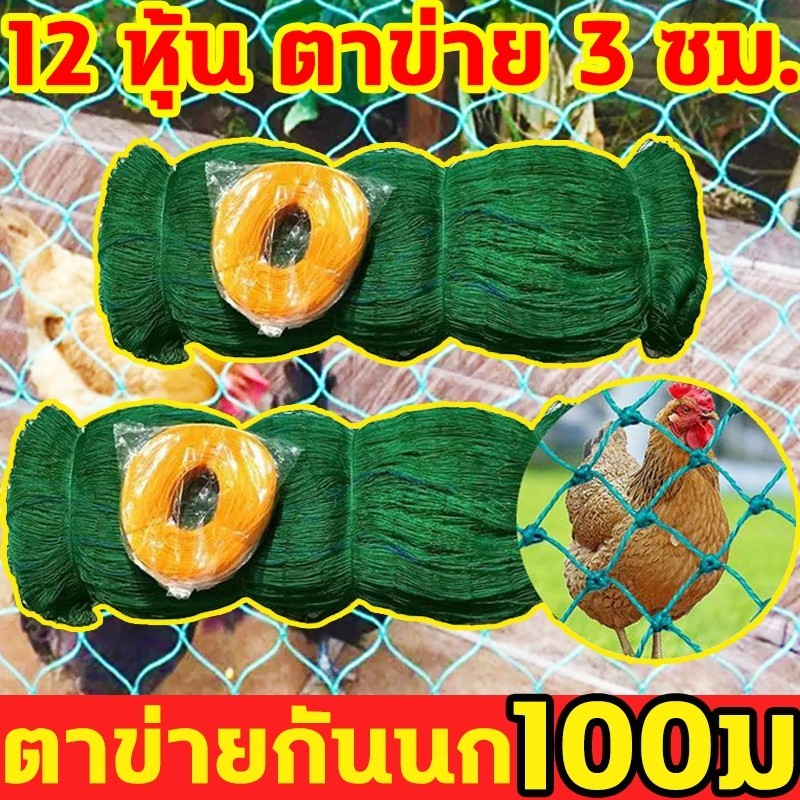 🔥【ถูกสุด】150ม ตาข่ายกันนก ตาข่ายล้อมไก่สูง 2 เมตร ตาข่ายกันนก ตาข่ายไนล่อน อวนล้อมไก่ ตาข่ายอวน ตะข่าย ตาข่ายพลาสติก