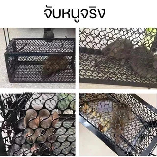 COD กรงดักหนูสปริง กรงดักหนูโครงหนา วัสดุโลหะแข็งแรง ใช้ซ้ำได้ กับดักหนูไว ติดตั้งง่าย สำหรับบ้าน โรงนา และโกดัง