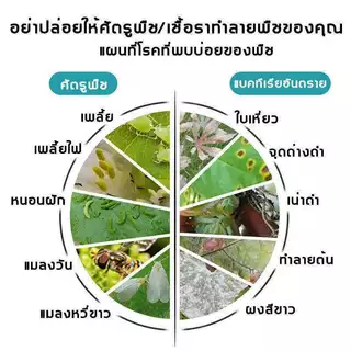 แมลง🐞ยากำจัดแมลงพืช 500g ยาฆ่าแมลง ยากำจัดหนอน สารกำจัดแมลง ยาฆ่าแมลงกินใบ ยากำจัดเพลี้ย ยาฆ่าเพลี้ย ​หนอน มด เกษตร สว