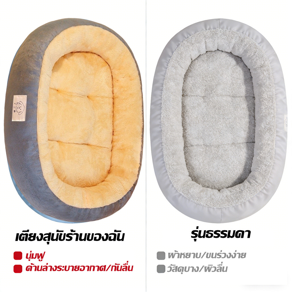 รูปภาพ 9