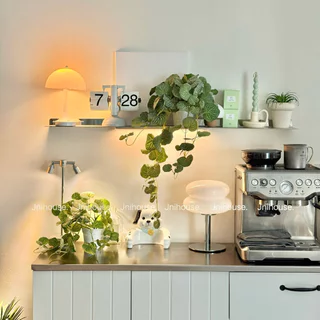 [พร้อมส่ง] Jnihouse : ใบบัวบกเลื้อย ต้นไม้ประดิษฐ์กระถางขาว (Faux Centella Trailing Plant)(SW015)