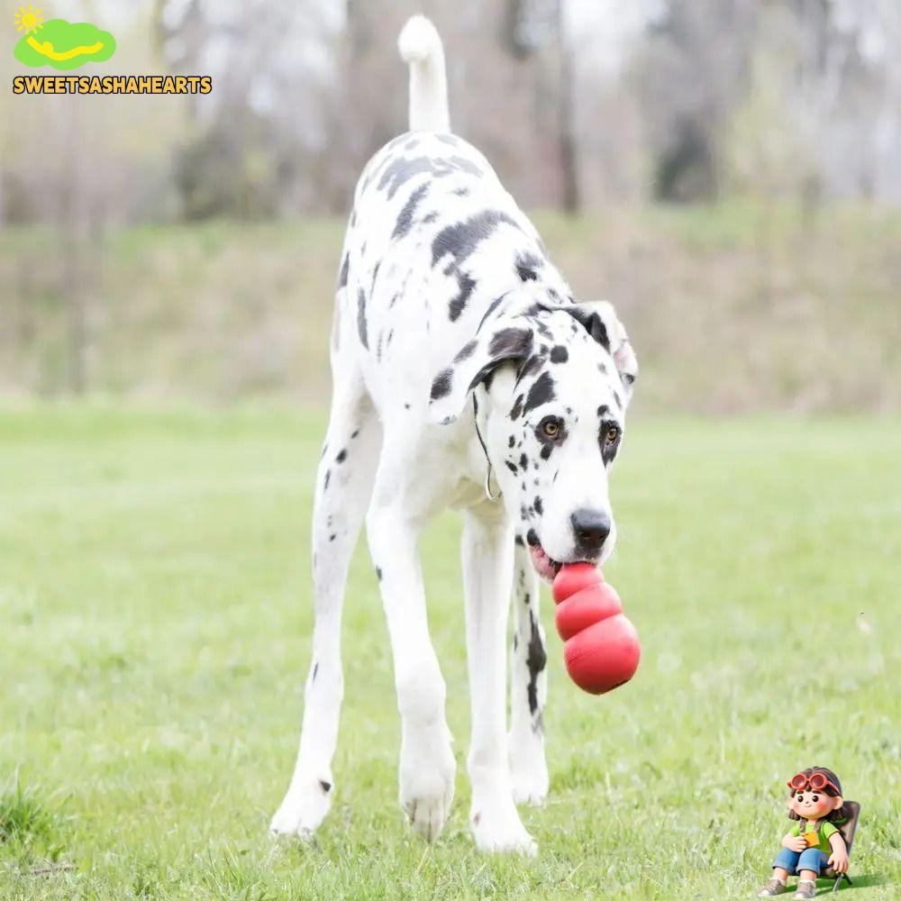 ของเล่นสุนัข SWEE Kong, ของเล่นลูกสุนัขคลาสสิก Kong ที่น่าทึ่ง, หลายขนาดของเล่นเคี้ยวยางทนทาน