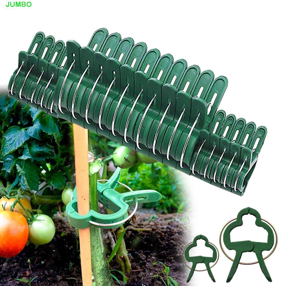 JUMBO Plant Fix Clamp Grafting 10/20 ชิ้น Vine สนับสนุน Stakes Connector สาขา Clamp ปลูกอุปกรณ์ฟาร์ม