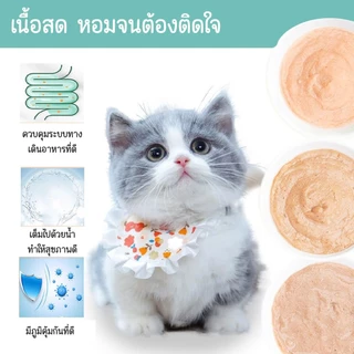 Mango ขนมเเมวเลีย 15g มีให้เลือก5รส cat snack stick อาหารแมว cat ขนมแมวเลีย แมวเลีย อาหารแมวเลีย ขนมแมวเลีย