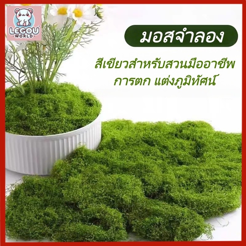 มอสเทียม 100 กรัม - สำหรับตกแต่งจุลภูมิ DIY บอนไซ สวนหิน และฉากตกแต่ง【สต็อกไทย】