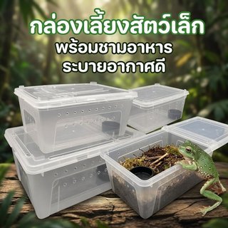 กล่องเลี้ยงสัตว์เลื้อยคลาน พลาสติก สำหรับ จิ้งจก งู กบ แมงมุม ตุ๊กแก เก็คโค กิ้งก่า ด้วง ขนาด M L