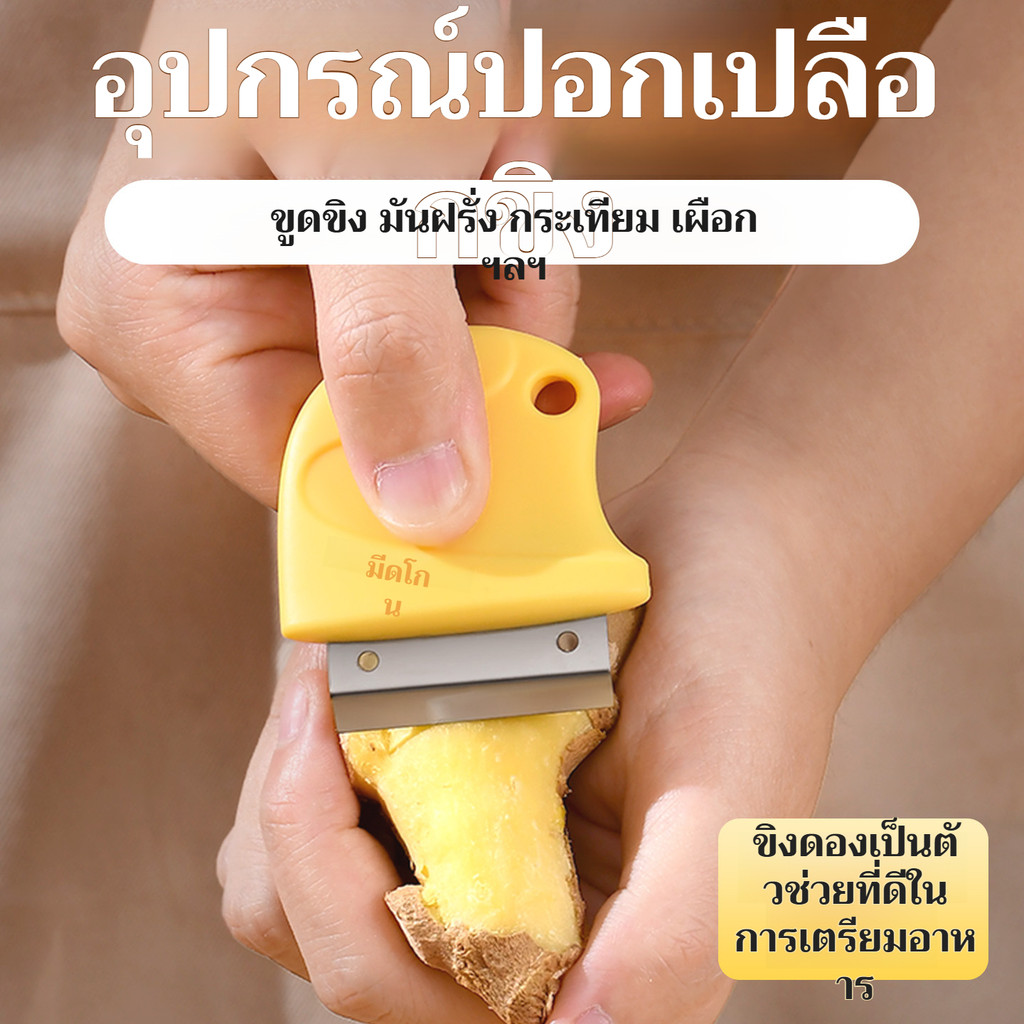 【ทนทานสุด】เครื่องปอกเปลือกสเตนเลส อเนกประสงค์ สำหรับขิง/มันฝรั่ง/ผัก เครื่องครัวครัวเรือนสแตนเลสคุณภาพสูง ที่ปอกเปลือกผลไม้
