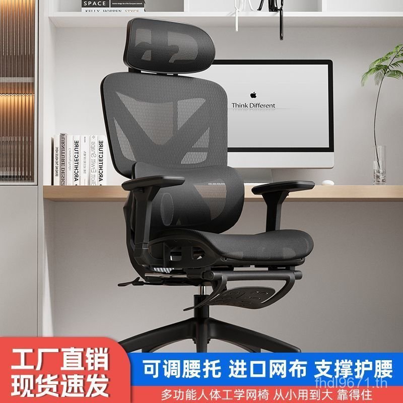 การเรียนรู้เอวบ้านปกป้องสํานักงานที่นั่งคอมพิวเตอร์นั่งประจําที่พนักพิงเก้าอี้โรงงานขายส่งเก้าอี้เก้