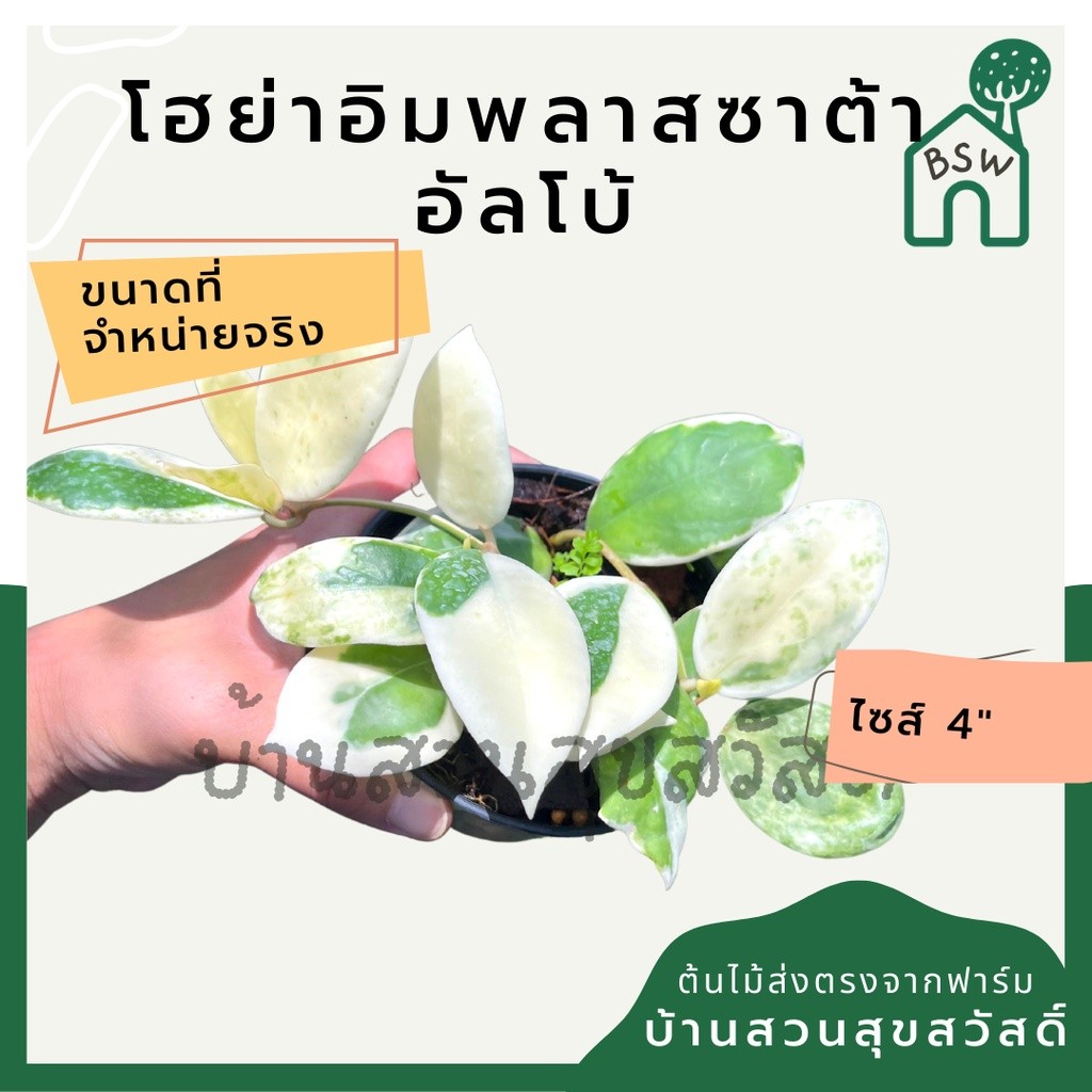 มุมมอง 3