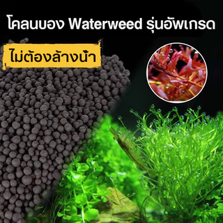 ดินปลูกไม้น้ำตู้ปลา 2.5KG ดินต้นไม้น้ำ ดินไม่แตก น้ำไม่ขุ่น ปลอดภัยต่อสัตว์น้ำ!