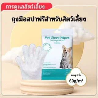 ถุงมืออาบน้ำสัตว์เลี้ยง ทิชชู่เปียก 6 ชิ้น พกพาสะดวก ใช้ได้ทั้งแมวและหมา สะอาดทันใจ