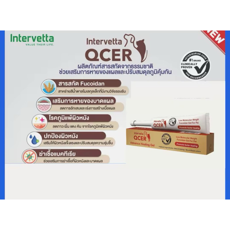 (( แบบเจล)) Intervetta QCER Advanced Healing Gel Exp.08/26 ขนาด 15 g. สำหรับให้แผลช่วยให้หายเร็ว ปรั